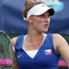 Чешская теннисистка установила рекорд Уимблдона