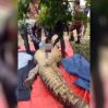В Малайзии тело пропавшего мужчины нашли внутри крокодила