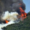 В Анталье горит лесной массив