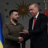 Эрдоган намерен обсудить с Путиным выдачу Украине командиров "Азова"