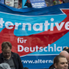 Рейтинг партии "Альтернатива для Германии" снизился впервые с марта