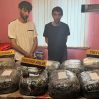 Арестованы члены банды, доставившие из Ирана 73 кг наркотиков