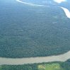 Засуха в бассейне Амазонки стала самой сильной более чем за 10 лет