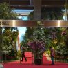 Для саммита в Джакарте создали джунгли в холле