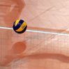 Эстония бойкотировала конгресс Европейской конфедерации волейбола из-за России