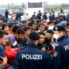 В Австрии мигрантов назвали угрозой для европейских правительств