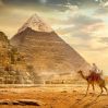 Ученые разгадали тайну павианов Древнего Египта