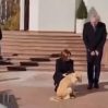 Собака Майи Санду покусала президента Австрии