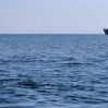 Болгария, Румыния и Турция 22 ноября обсудят разминирование Черного моря