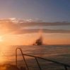 В Черном море гражданское судно под флагом Панамы подорвалось на российской мине