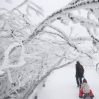 В Лянкяране высота снежного покрова достигла 50 см, в Баку - 2 см