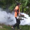 В Рио-де-Жанейро объявили режим ЧС из-за эпидемии денге