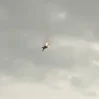 Россияне сбили свой Су-35 в Севастополе