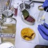 На фоне массовой вспышки ботулизма в РФ конфисковано 172 т продукции