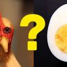 Яйцо было раньше курицы, доказали ученые