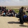 Сирийские беженцы в Турции скапливаются у границы, чтобы вернуться на родину