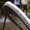 В Кении с неба упало огромное металлическое кольцо