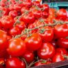 Шокирующие ценники: что заставляет томаты дорожать?