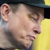 Стало известно, кто поставил синяк Илону Маску