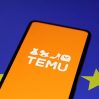 ЕС обвинил Temu в продаже нелегальной и опасной продукции ЕС обвинил Temu в продаже нелегальной и опасной продукции