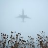 Все находившиеся на борту разбившегося Ан-24 в Амурской области погибли Все находившиеся на борту разбившегося Ан-24 в Амурской области погибли