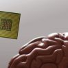 Разработан и испытан мозговой имплант для облегчения боли