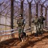 Солдаты КНДР нарушили межкорейскую границу Солдаты КНДР нарушили межкорейскую границу