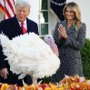 Трамп заявил о прогрессе в урегулировании конфликта в Украине Трамп заявил о прогрессе в урегулировании конфликта в Украине