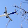 Авиакомпании сообщают о задержках рейсов из-за обновления ПО на Airbus A320 Авиакомпании сообщают о задержках рейсов из-за обновления ПО на Airbus A320