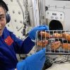 Китайские космонавты впервые приготовили барбекю на орбитальной станции Китайские космонавты впервые приготовили барбекю на орбитальной станции