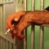 ЕСПЧ раскритиковал Эстонию из-за запрета курения для заключенных