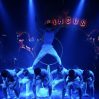 Рекордный старт в цирке: Китайский цирк начался — уже продано 20 000 билетов Рекордный старт в цирке: Китайский цирк начался — уже продано 20 000 билетов