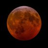 США намерены развернуть ядерный реактор на Луне к 2030 году США намерены развернуть ядерный реактор на Луне к 2030 году