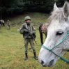 Российские войска стали проводить кавалерийские атаки на украинские позиции