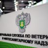 После отказа Пашиняна ехать на парад к Путину Россельхознадзор нашел новые нарушения в продуктах из Армении